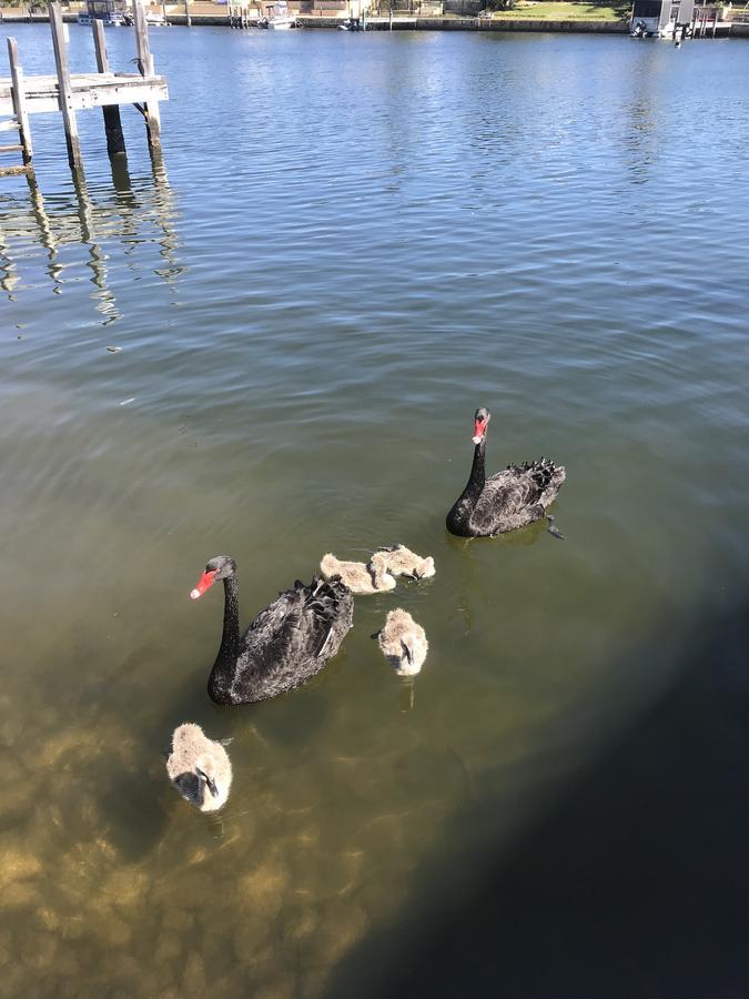 Serenity On Murray Waters B&B Mandurah Luaran gambar